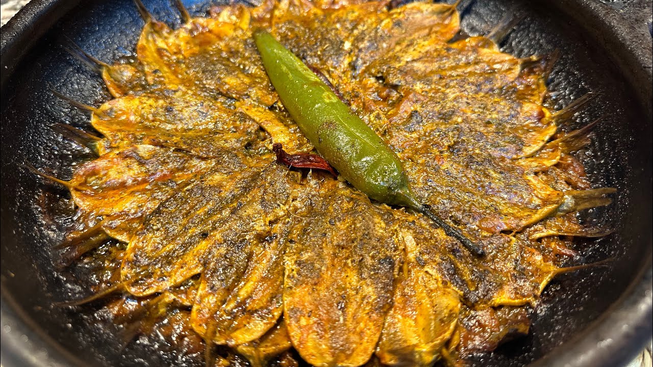 طويجن د الشطون (الأنشوبة) شمالي على حقو و طريقو 🐟🐟🐟🐟