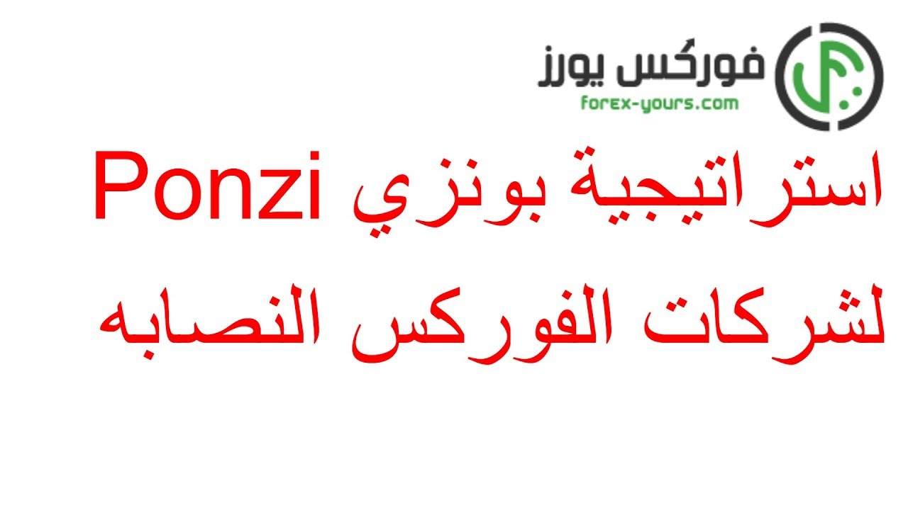 استراتيجية بونزي Ponzi لشركات الفوركس  | شرح سلسلة بونزي | هل الفوركس نصب ؟