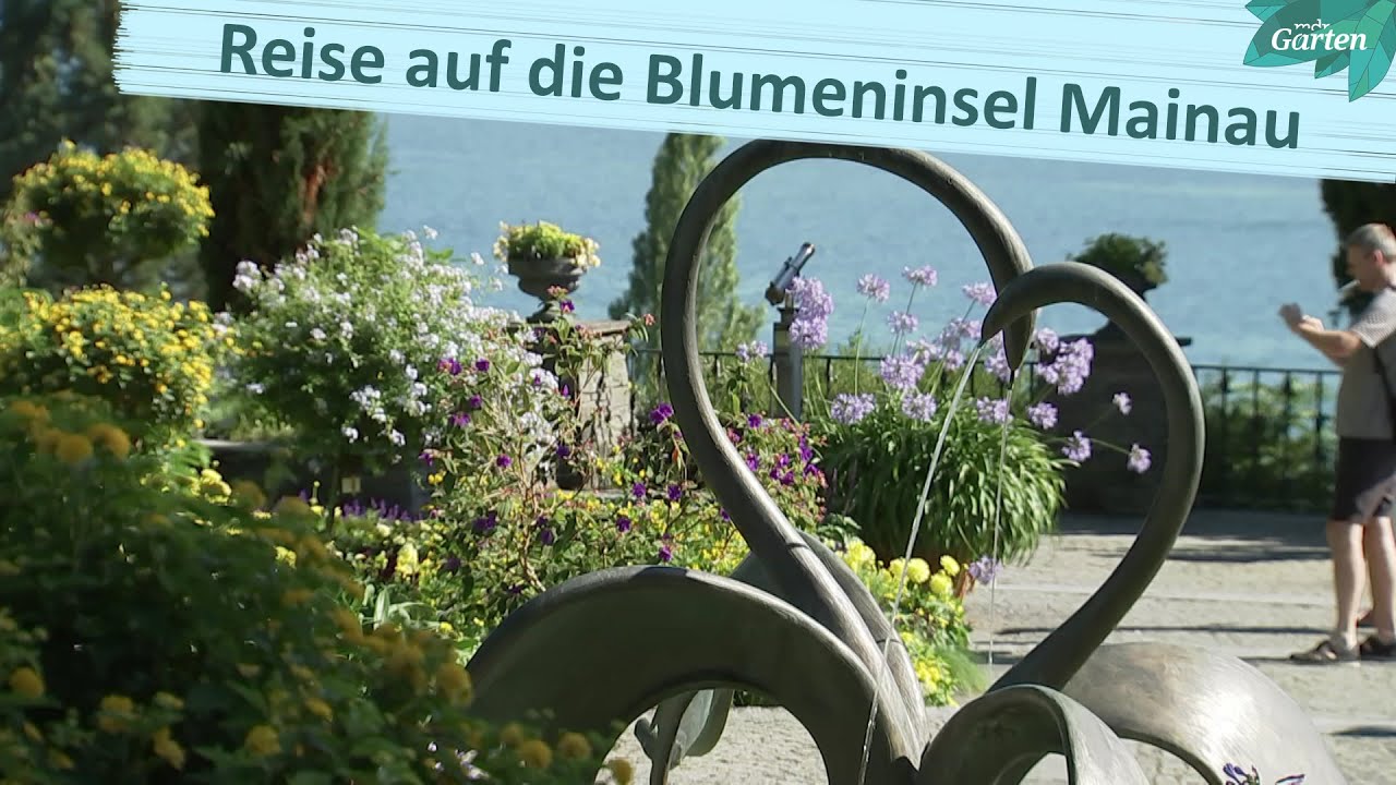 Mainau: Faszinierende Blumeninsel | MDR Garten | MDR