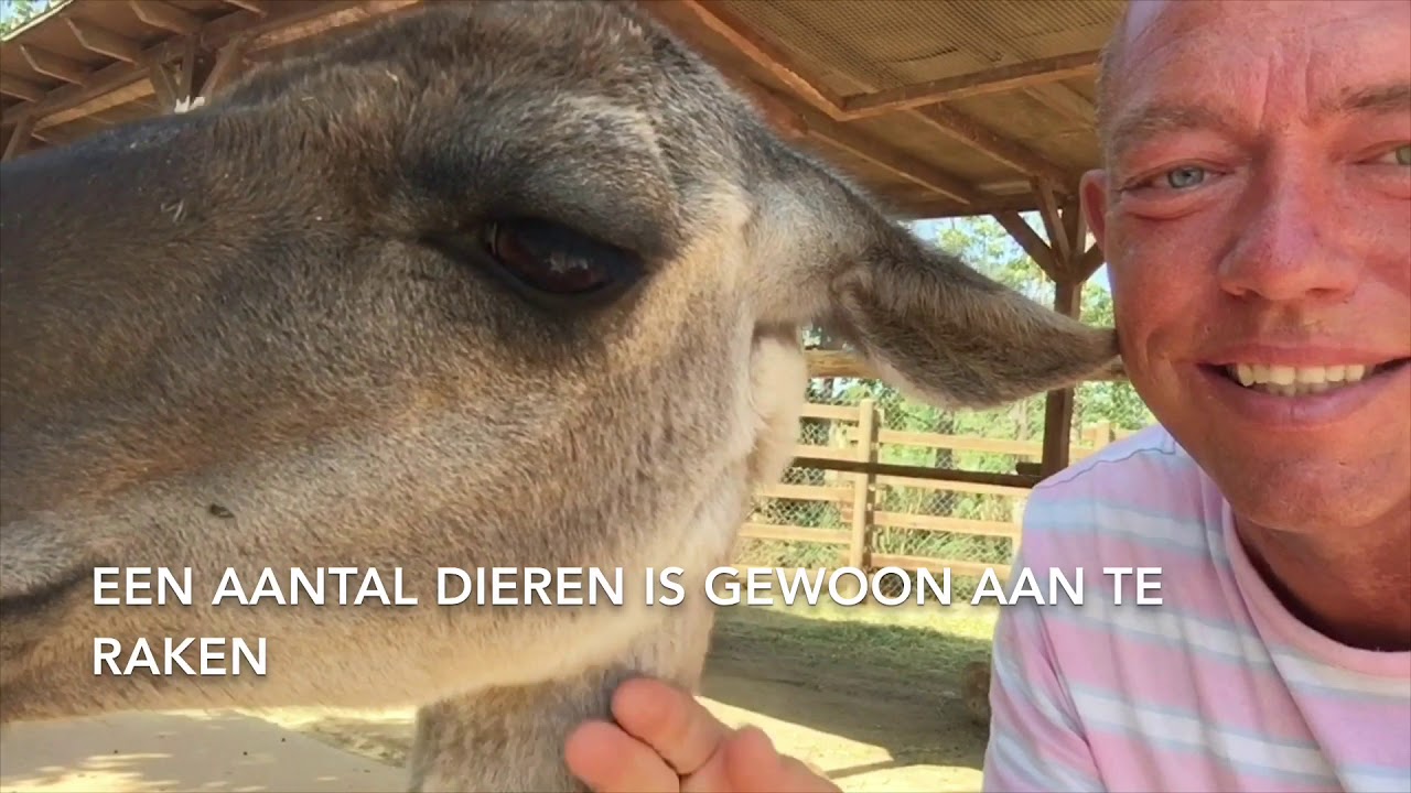 TERRA NATURA BENIDORM