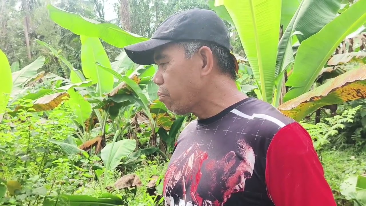 AYOKO NA...