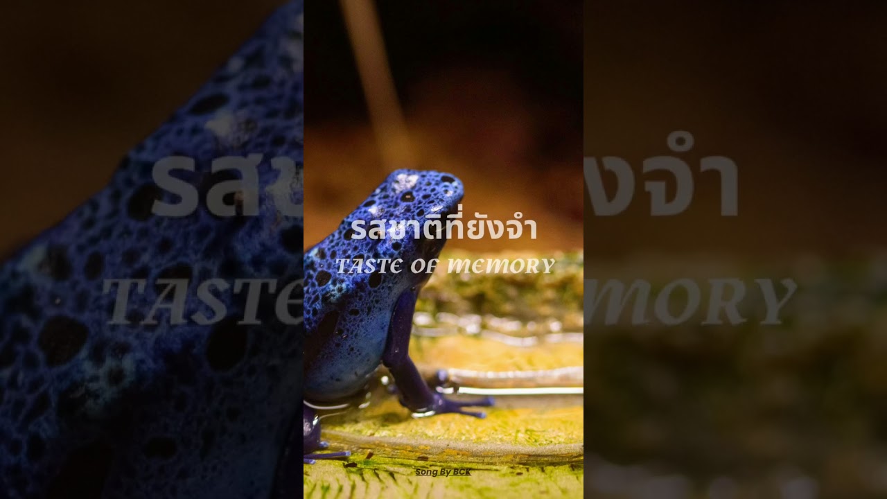 รสชาติที่ยังจำ