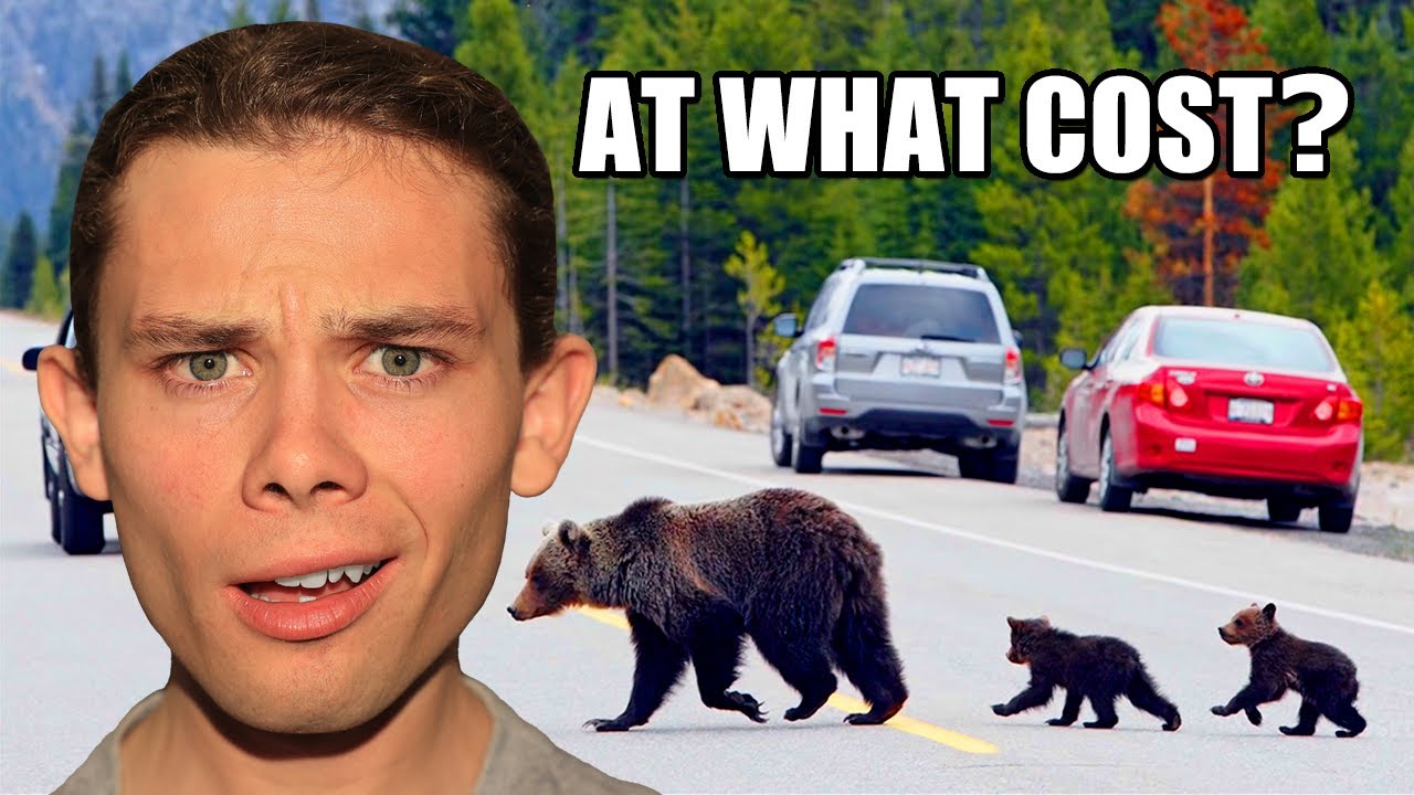 Australian Reaction To How Tourism Has Ruined Banff!