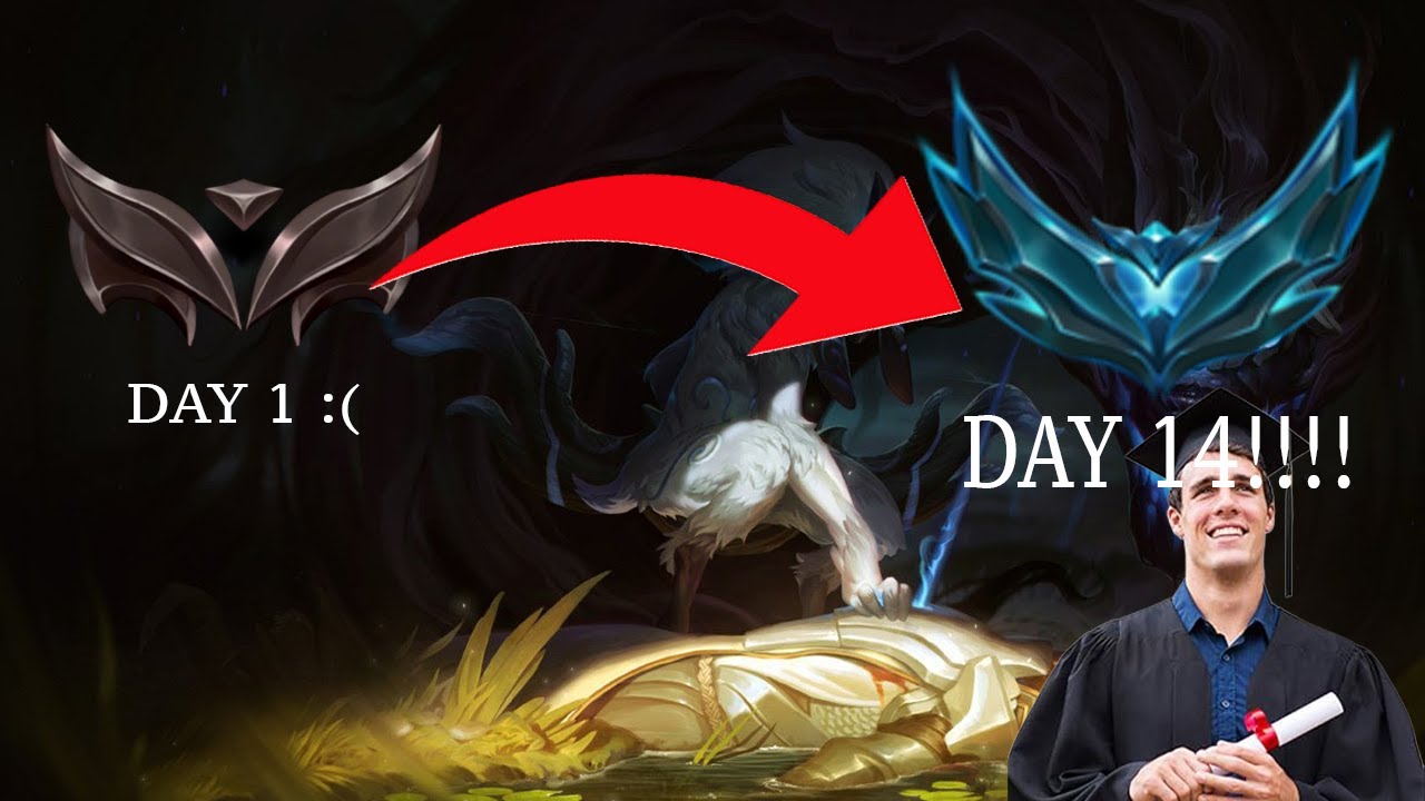 Your new TFT prodigy