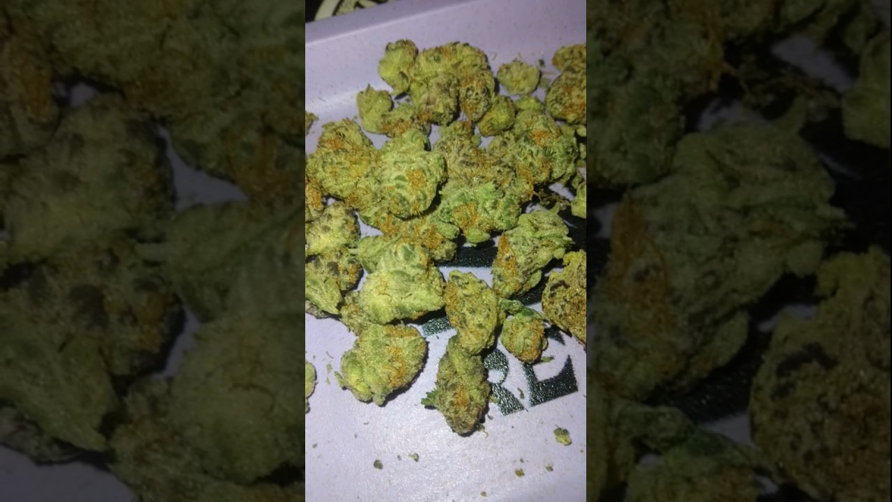 Garlicane Thca minis from Canna Cured #thca #thcareview #cannacured #exotic #fire