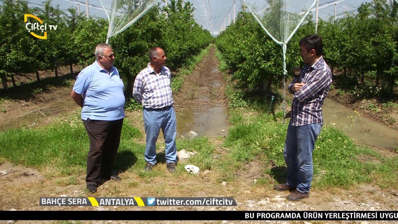 Bahçe Sera - Eriğin Dikim Avantajları Nelerdir?