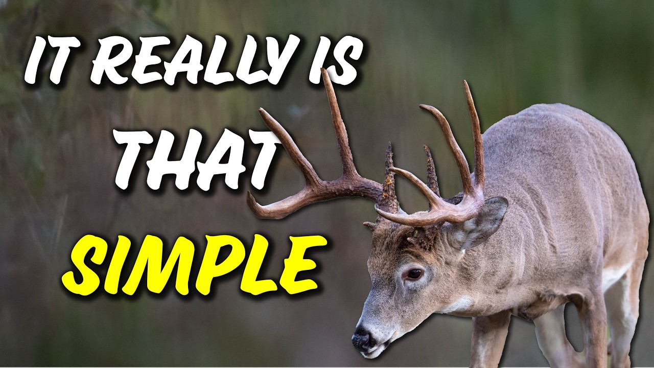 ANYONE can use this method to locate BIG BUCKS.