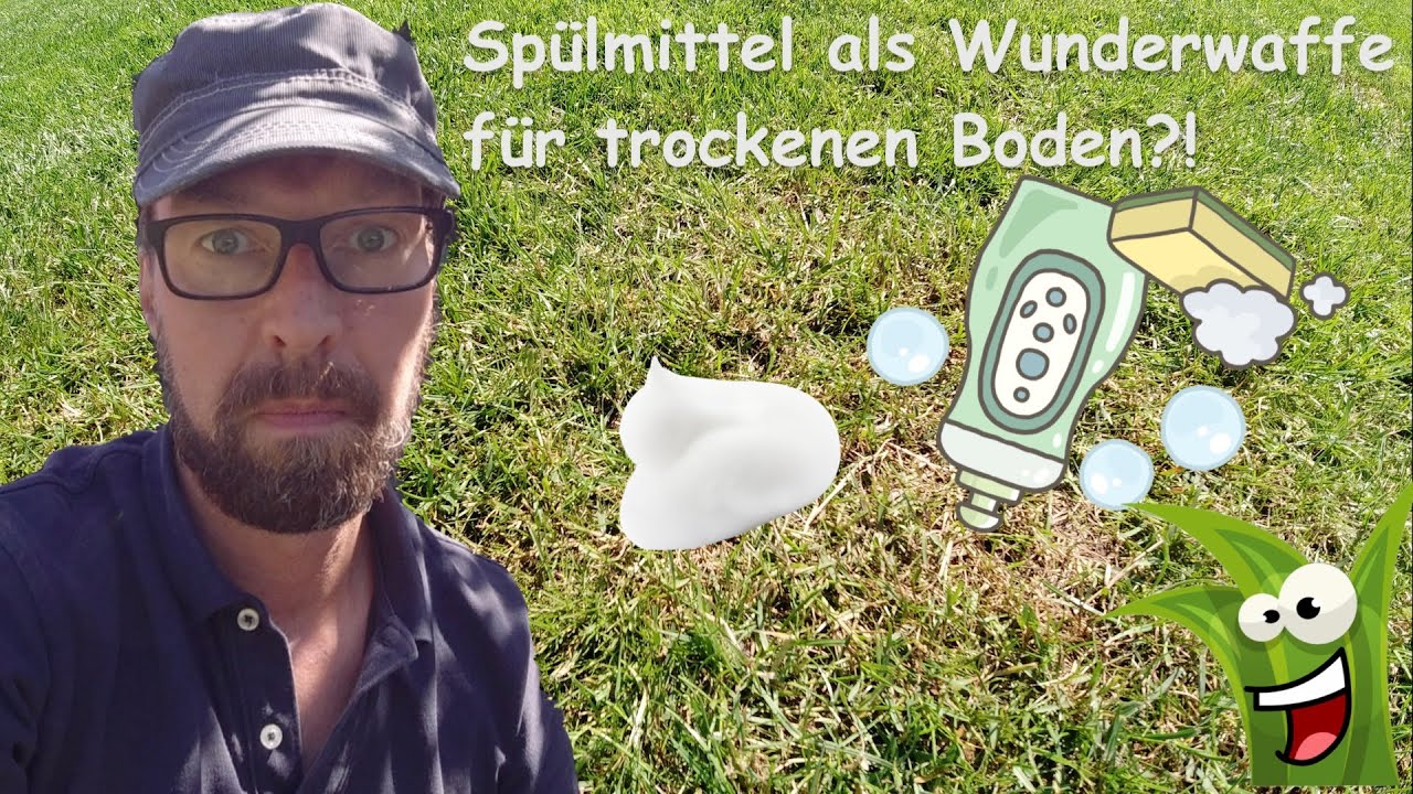 GG Theorie- Wetting Agents gegen Hydrophobie, trockenen Boden, braunen Rasen, Tenside für die Halme!