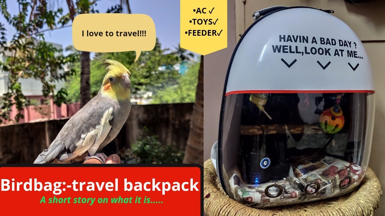 BIRD BAG-Travel backpack for your pet bird(AC,TOYS AND MUCH MORE!!!) #PETS #BIRDS #TRAVEL