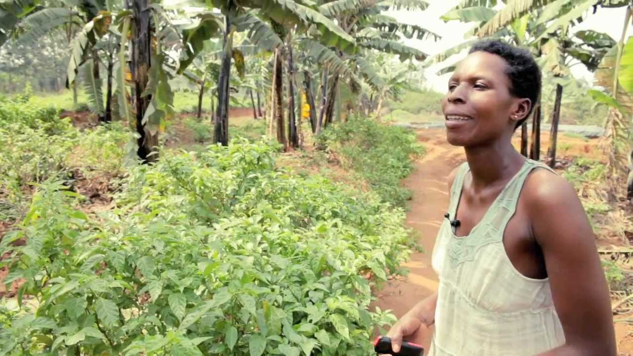 Sustainable development partnership