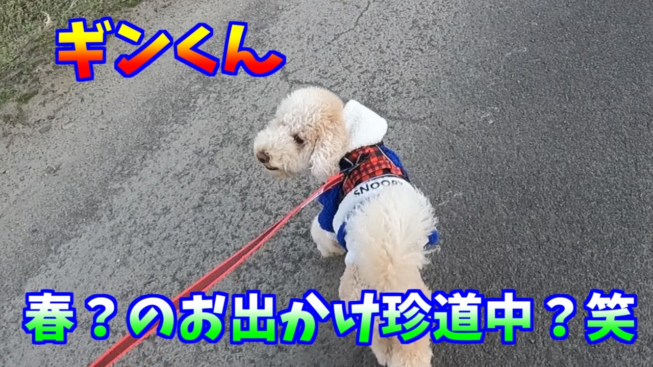 春？のお出かけ