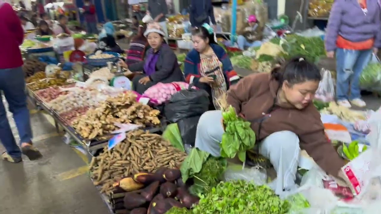Heading to Mae Sai and Ban Kiewkan. 01-19-26. Ep 528