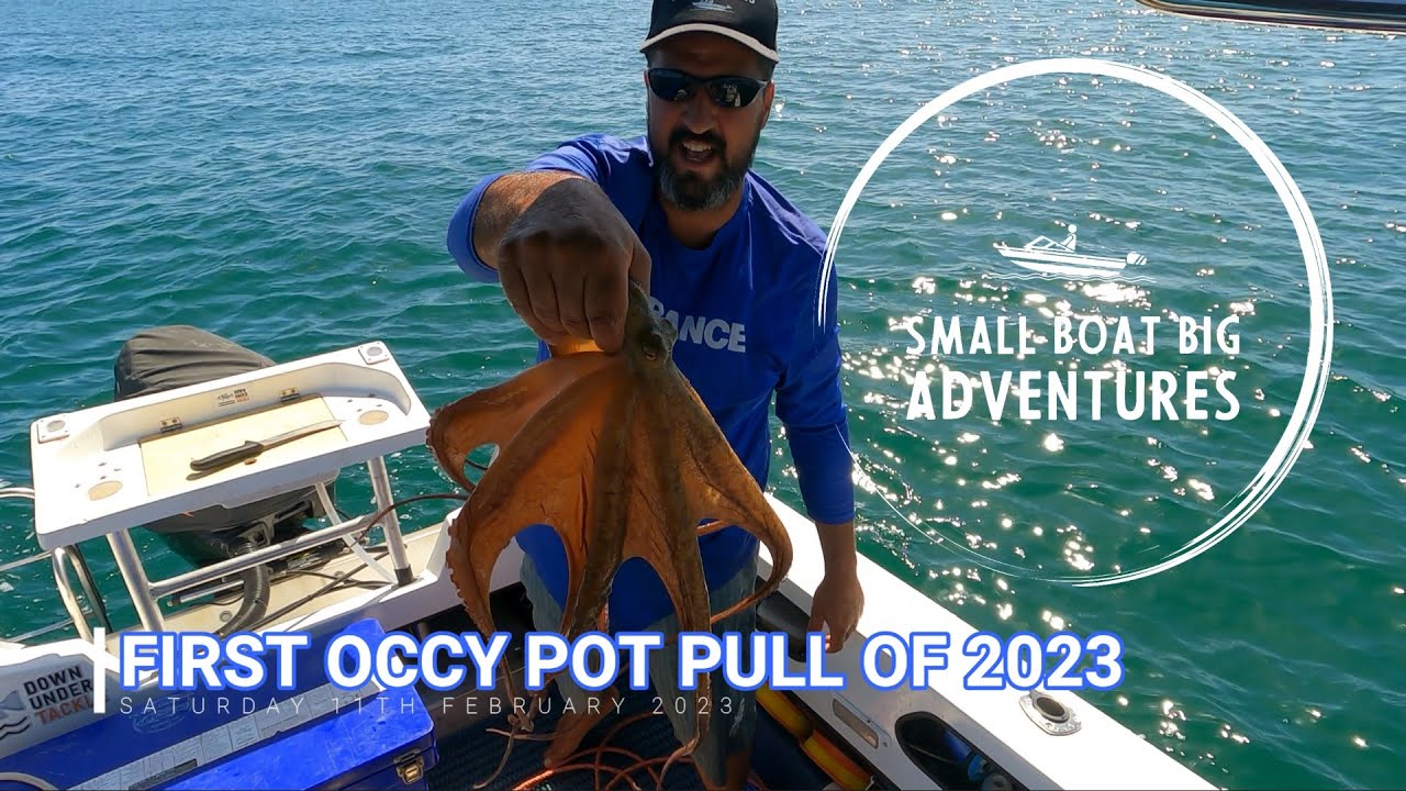 First pull of the Occy pots for 2023
