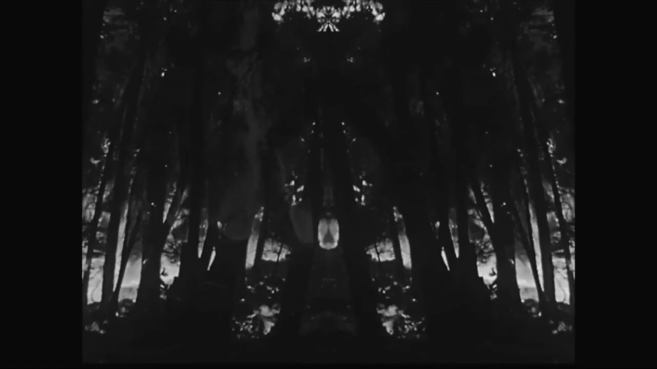 slowgramming x SCP - Among the Trees with Lily Veselka (SCP-3002)