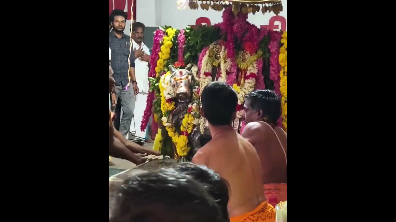 வேளச்சேரி அருள்மிகு கருணாம்பிகை உடனுறை தண்டீஸ்வரர் ஆலயம் மகா சனி பிரதோஷம் இன்று சிறப்பாக நடைபெற்றது