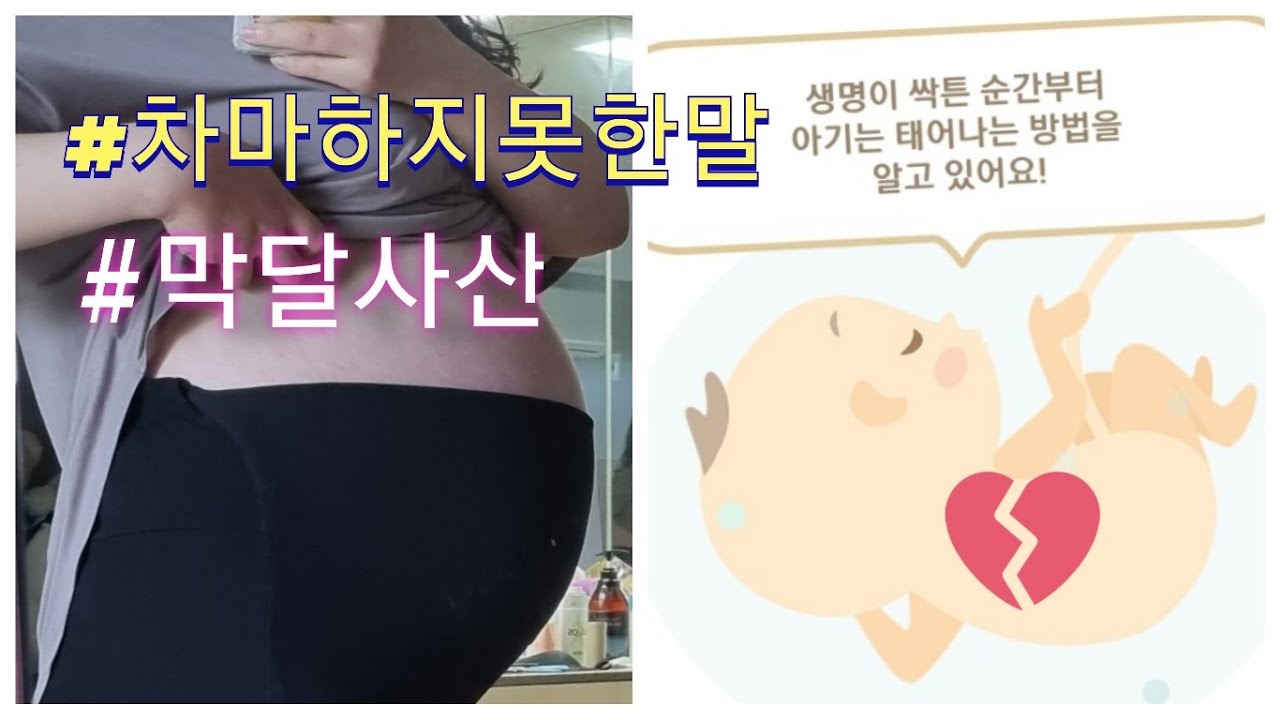 38주사산/초기중기말기 안전한때는 없다