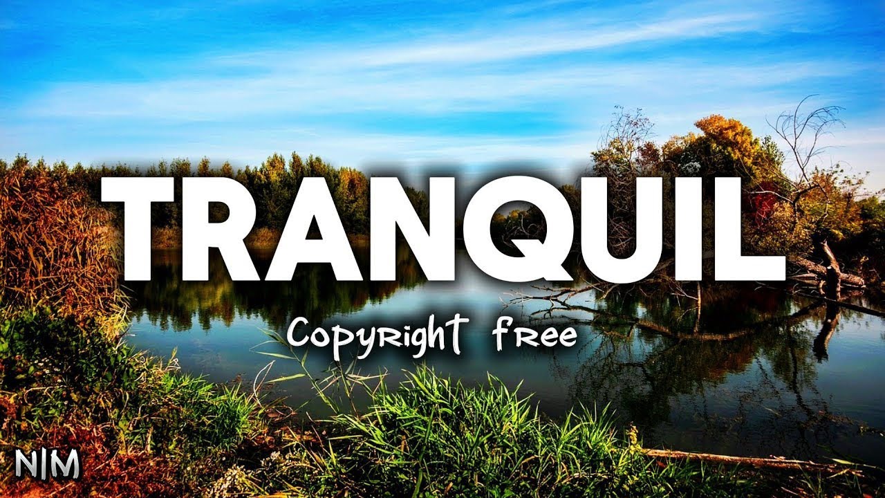 Relaxing Copyright-Free Soundtrack | Tranquil Forest Views & Gentle Nature Sounds
