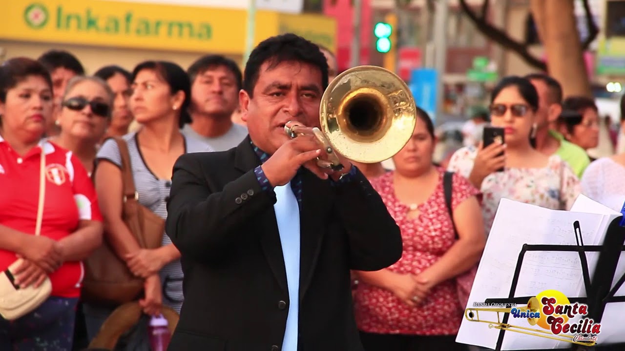 UNICA SANTA CECILIA DE CHIMBOTE   MIX COMPAY GATO