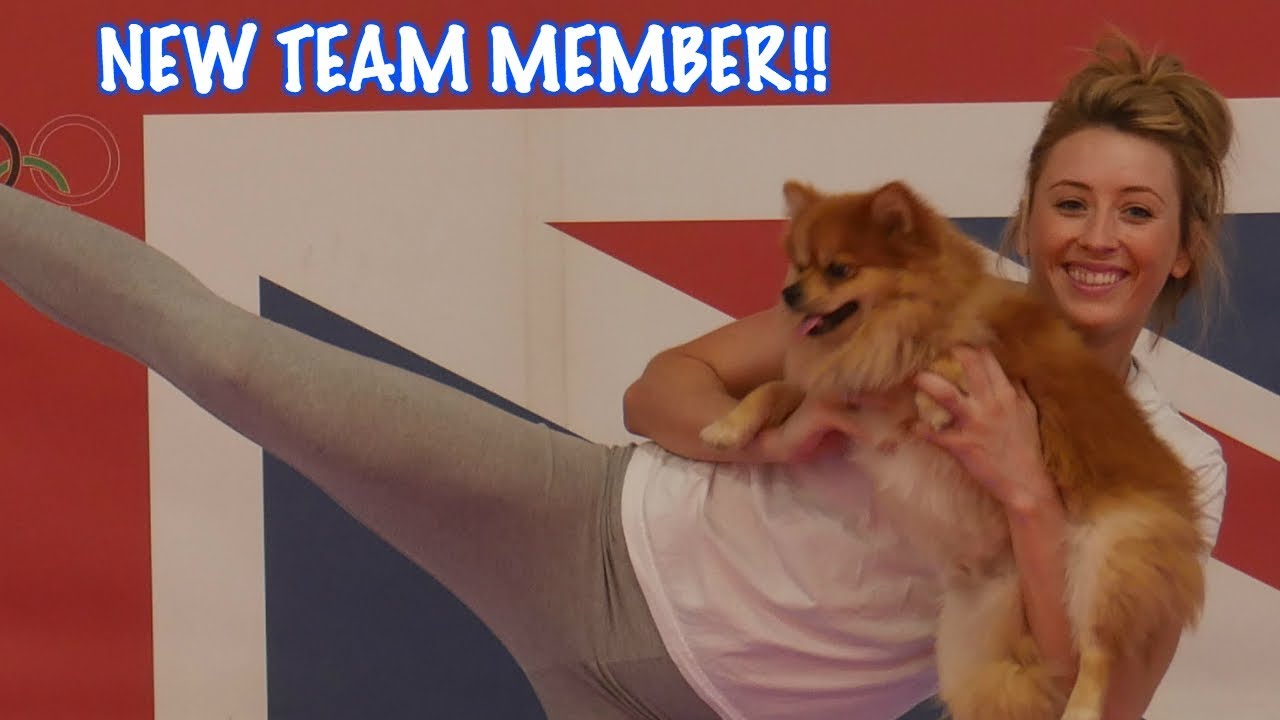 MY DOG SIGNS FOR GB TAEKWONDO!! | JADE JONES VLOG
