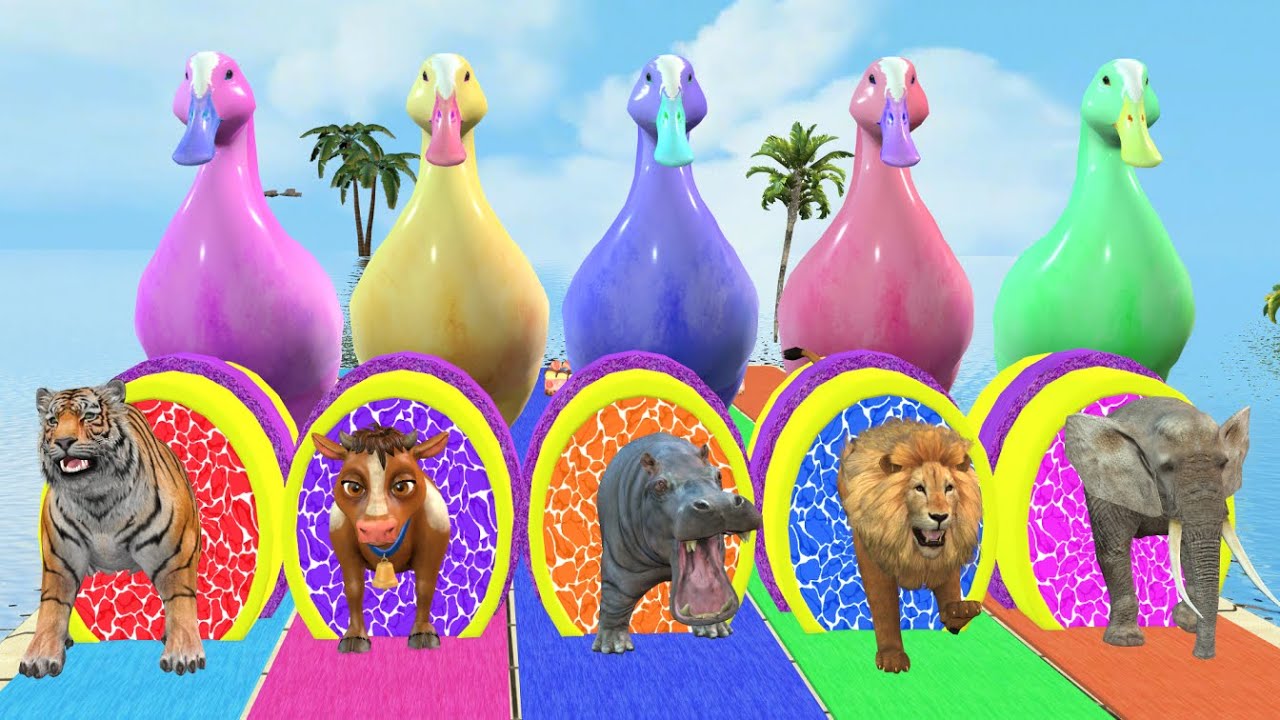 Long Slide Game With Duck Hippo Tiger Cow | Paint Animals Fountain Crossing ss | Funny 3d Animation