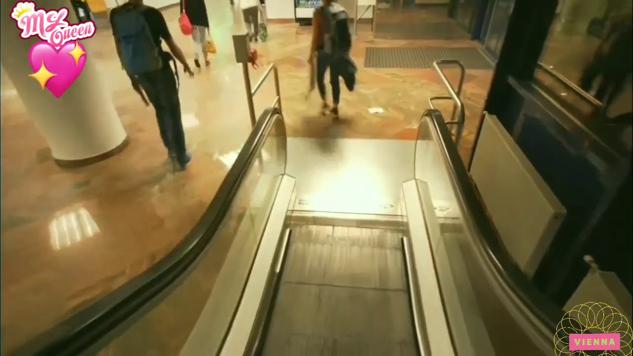 مطار فيينا من الطائرة إلى الداخل بدون تفتيش وببلادنا بيقرفوا سمانا 😏