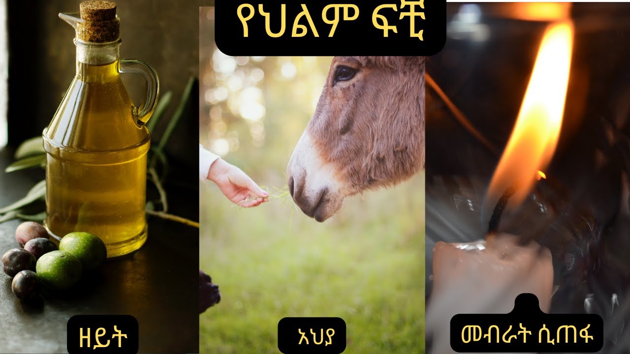 ዘይት፣ አህያ፤መብራት ሲጠፋ