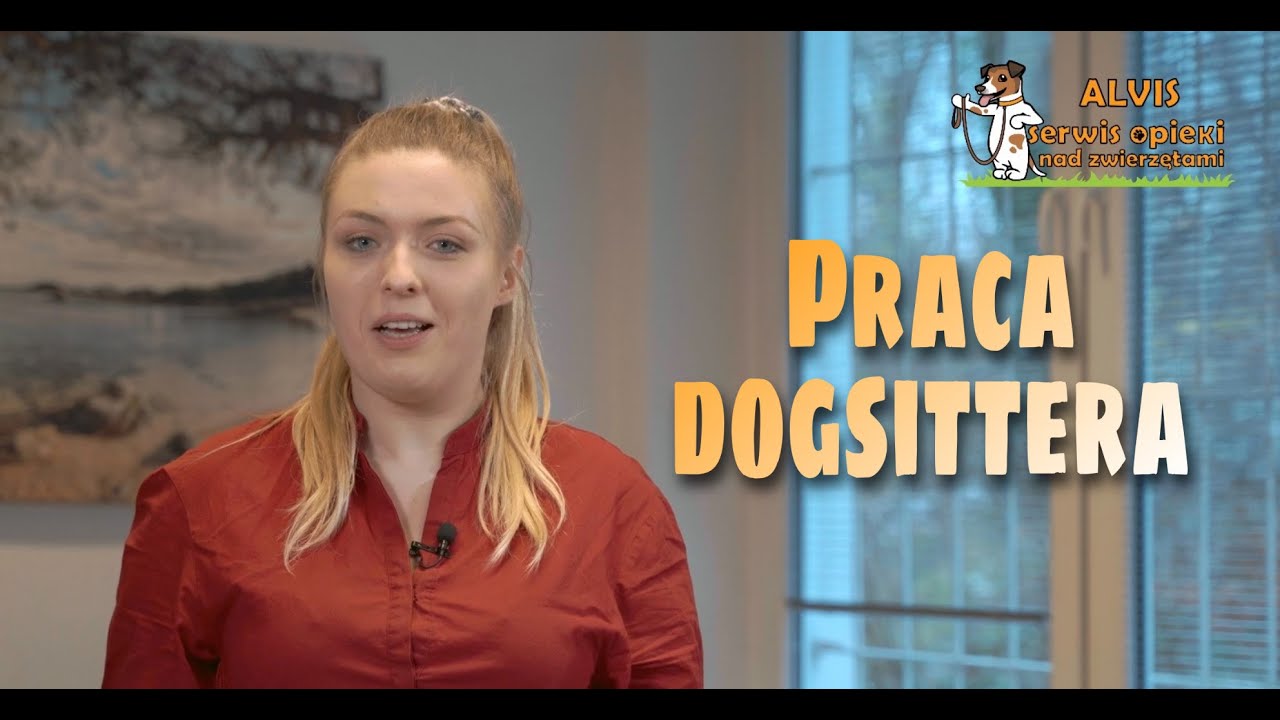 Zostań dogsitterem w ALVIS