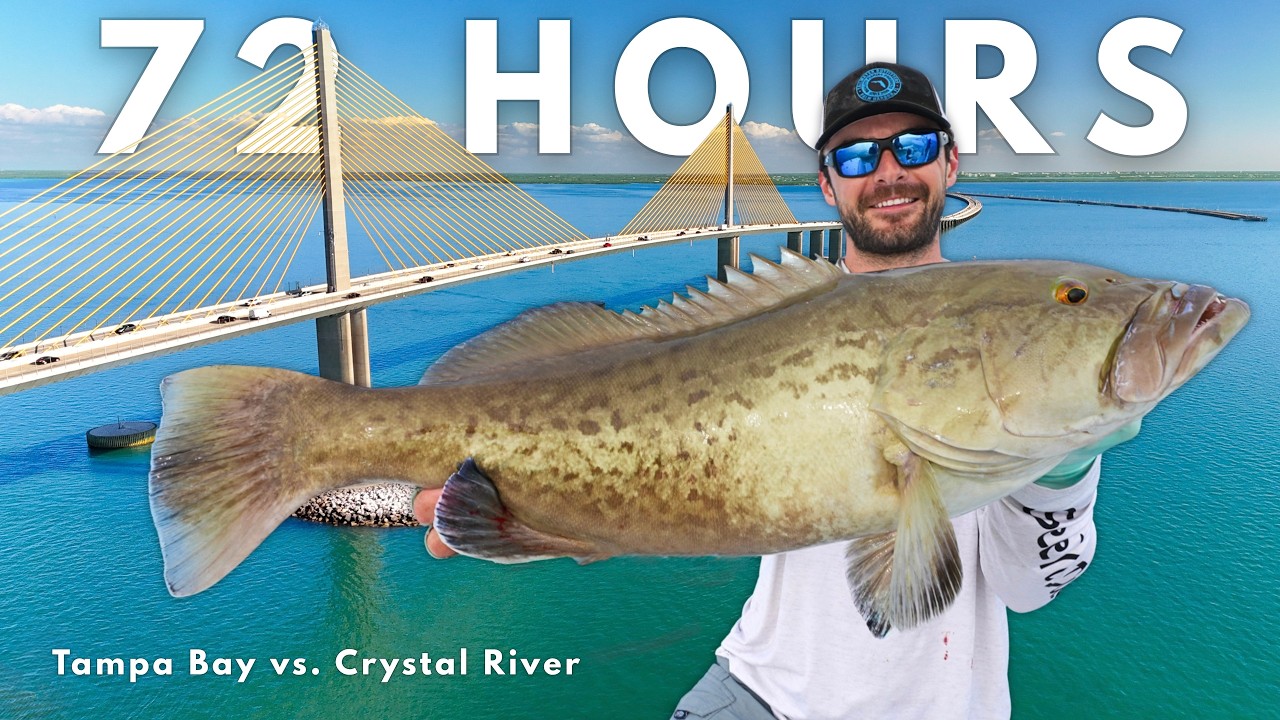 72 Hours to Find Florida's BEST Grouper Fishing (Tampa Bay vs. Crystal River)