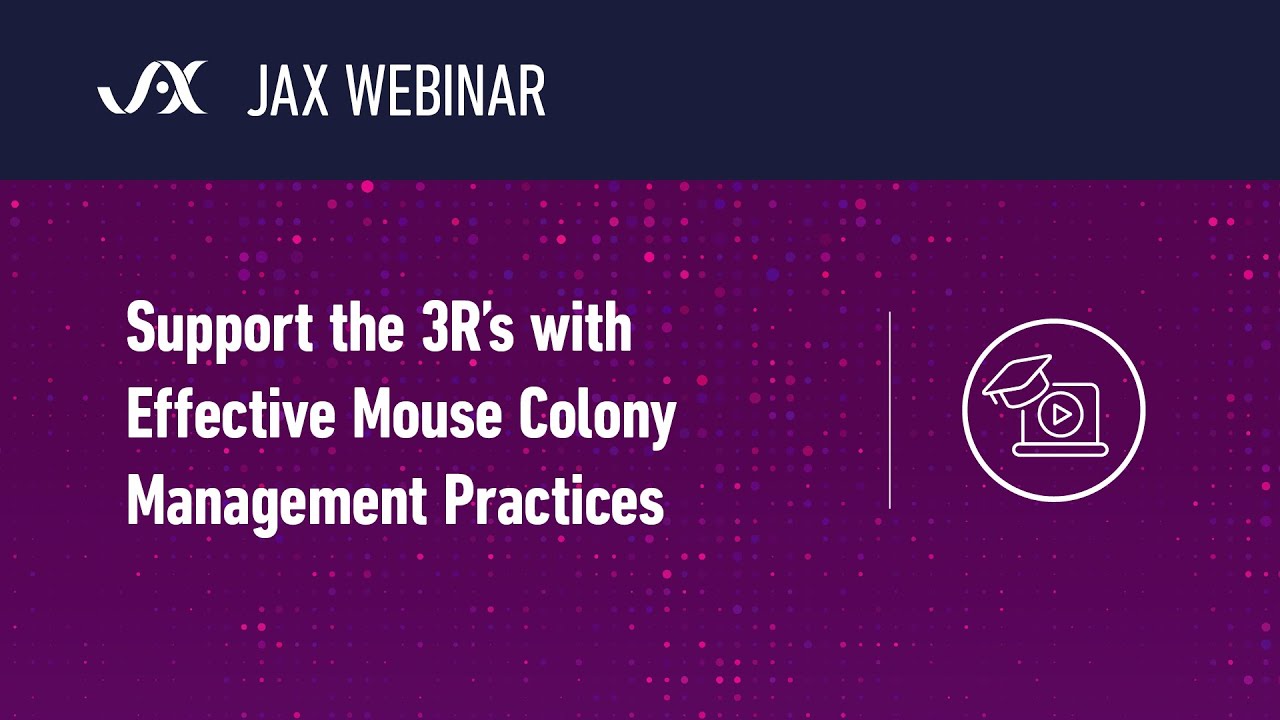 Support the 3 R’s with Effective Mouse Colony Management Practices