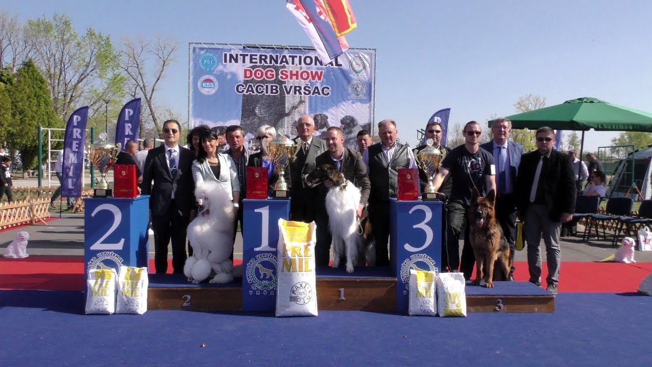CACIB VRŠAC 2019.