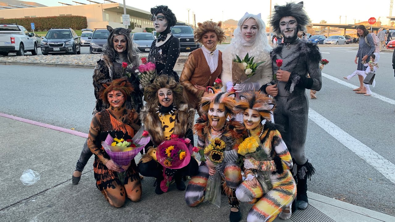Jellicle vlog