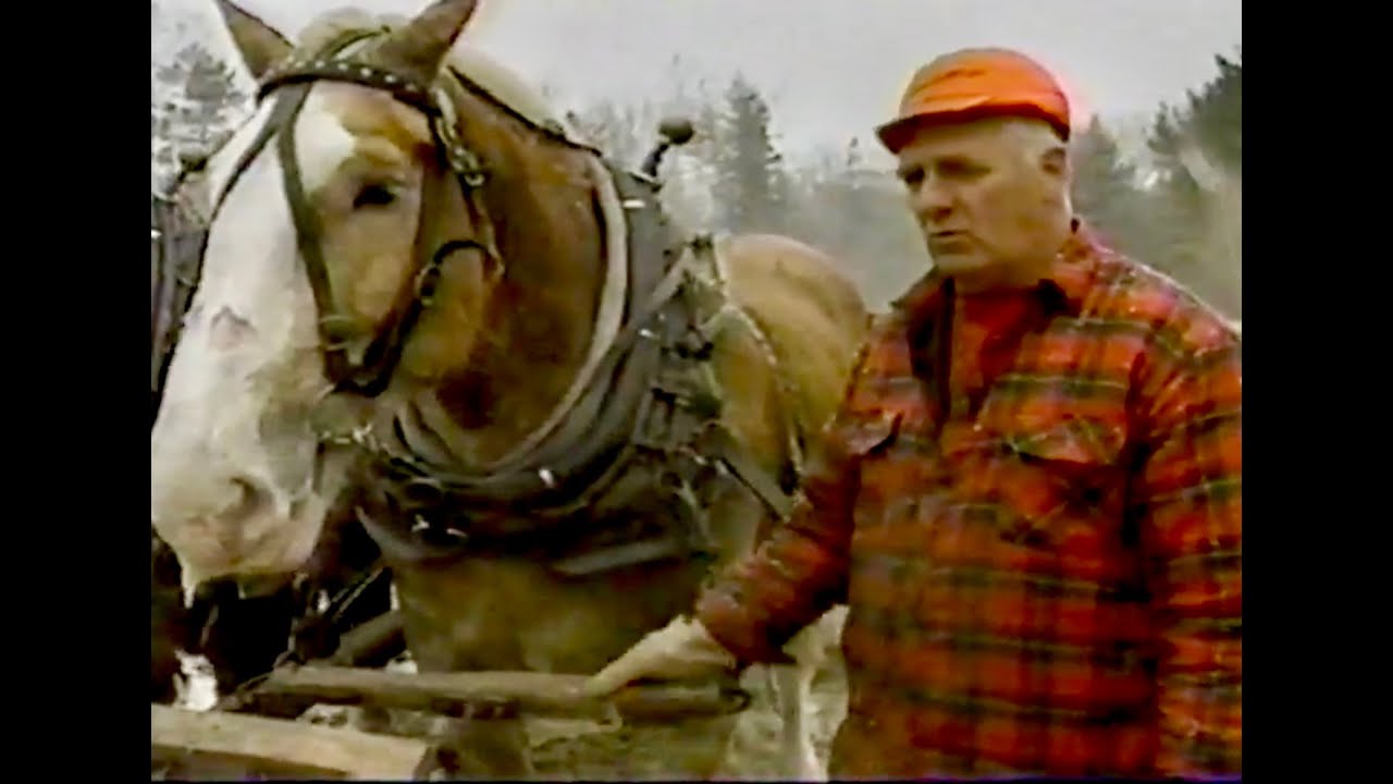 Crossroads - Leon Sharp - Horselogger - Alexandria NH