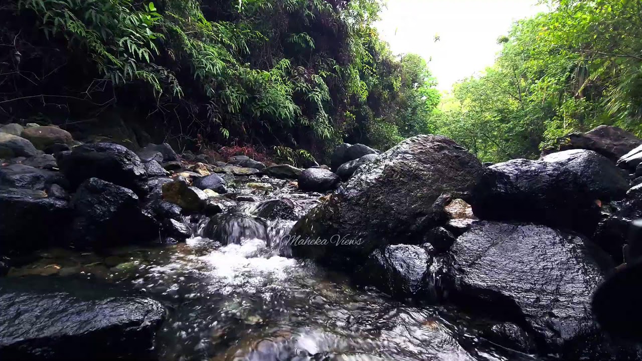 LIVE Peaceful River Sounds for Sleep 🌙 | Natural White Noise for Deep Rest (No Music)