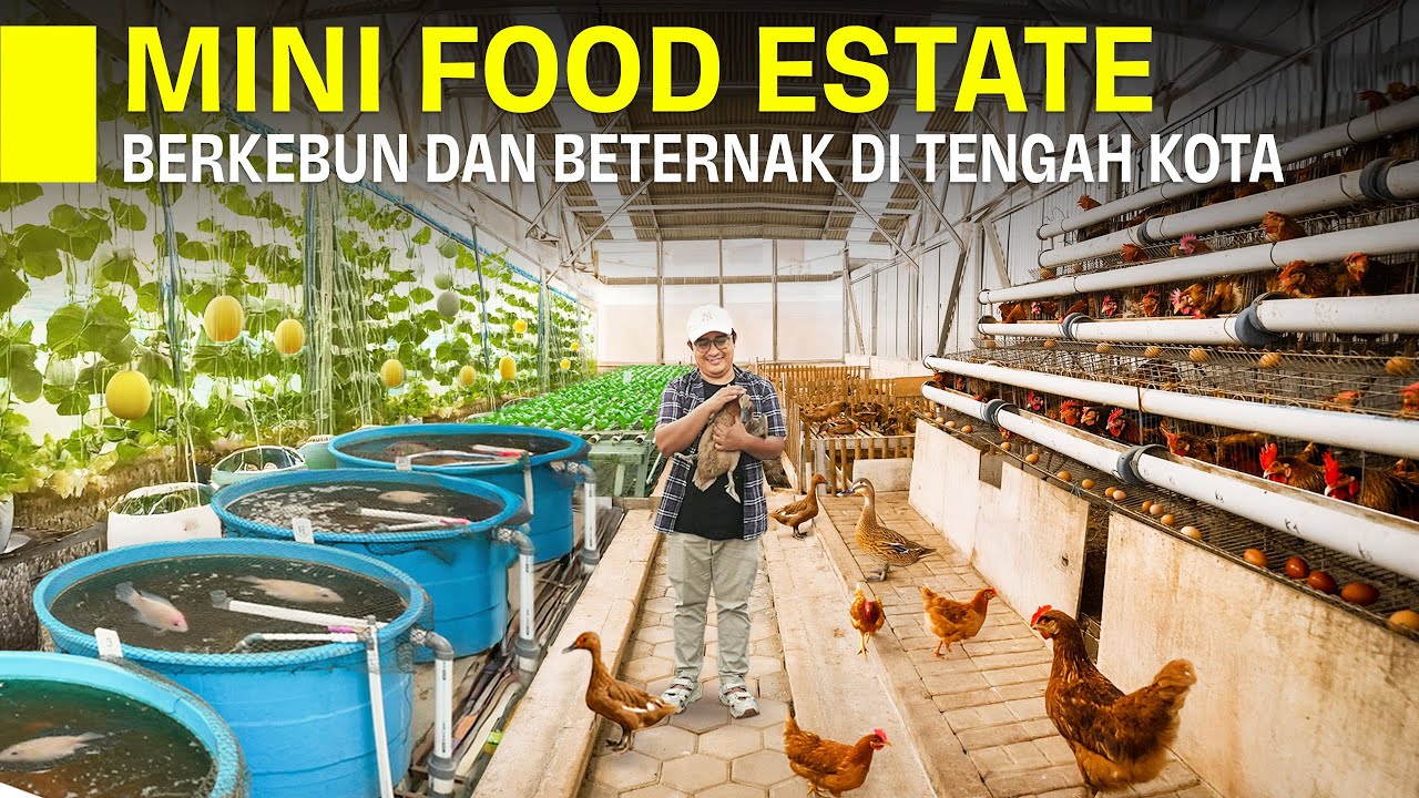 Tanpa Tengkulak Cara Petani Ini Bikin Hasil Panen Ikan Sayur Dan Telur Laku Keras dan Untung Besar