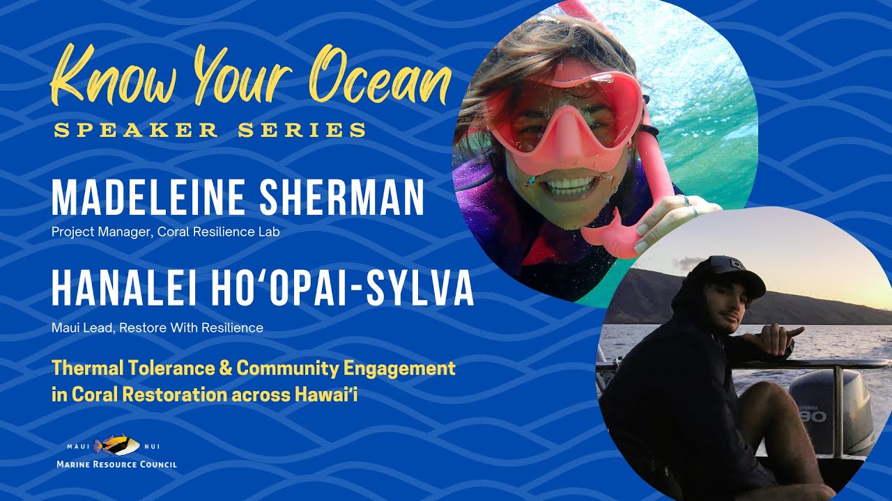 Restore with Resilience Thermal Tolerance & Community Engagement in Coral Restoration across Hawaiʻi