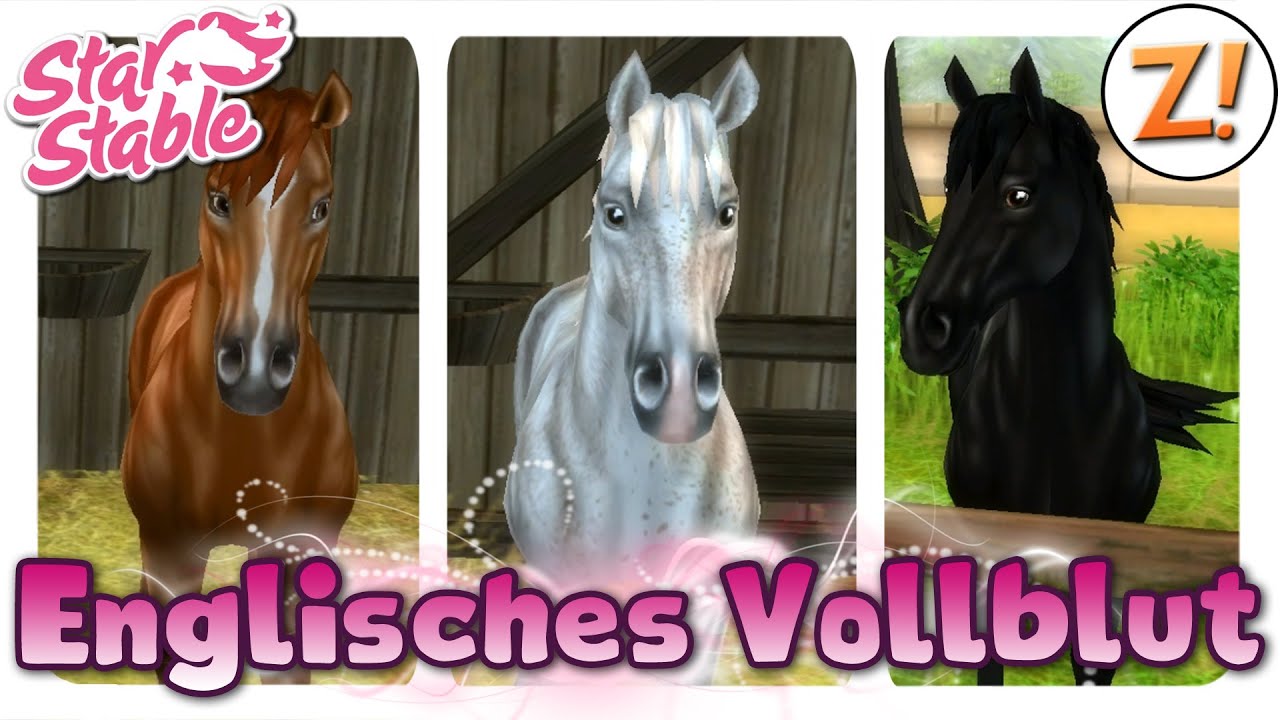 Star Stable [SSO]: Das neue englische Vollblut [Update 02.03.2016] | Let's Play ♥ [DEUTSCH]