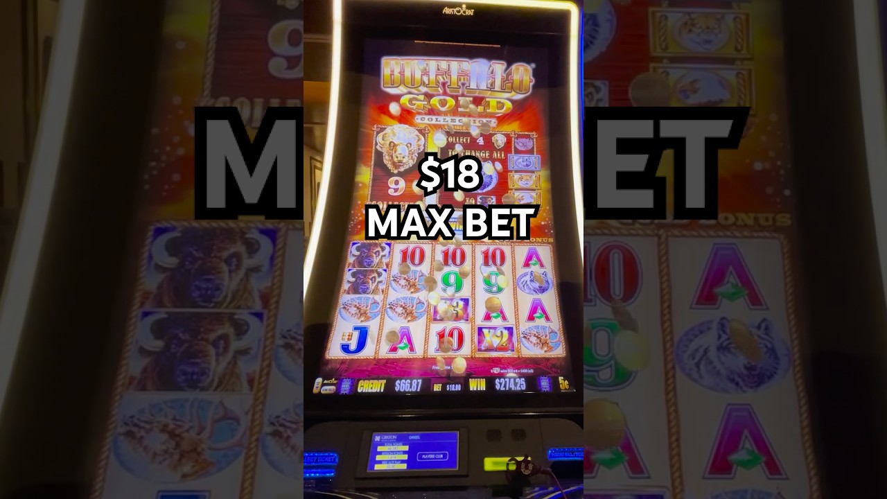 $18 MAX BET PAYS BIG on Buffalo Gold