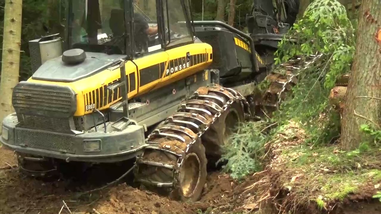 Travaux  Forestier  Petit Depannage