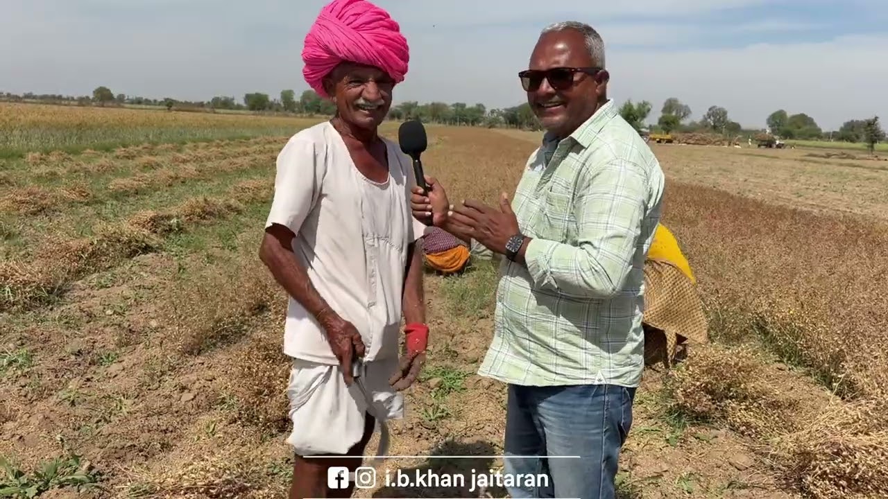 खेती का मौसम चरम पर, चने की कटाई में जुटे मजदूर