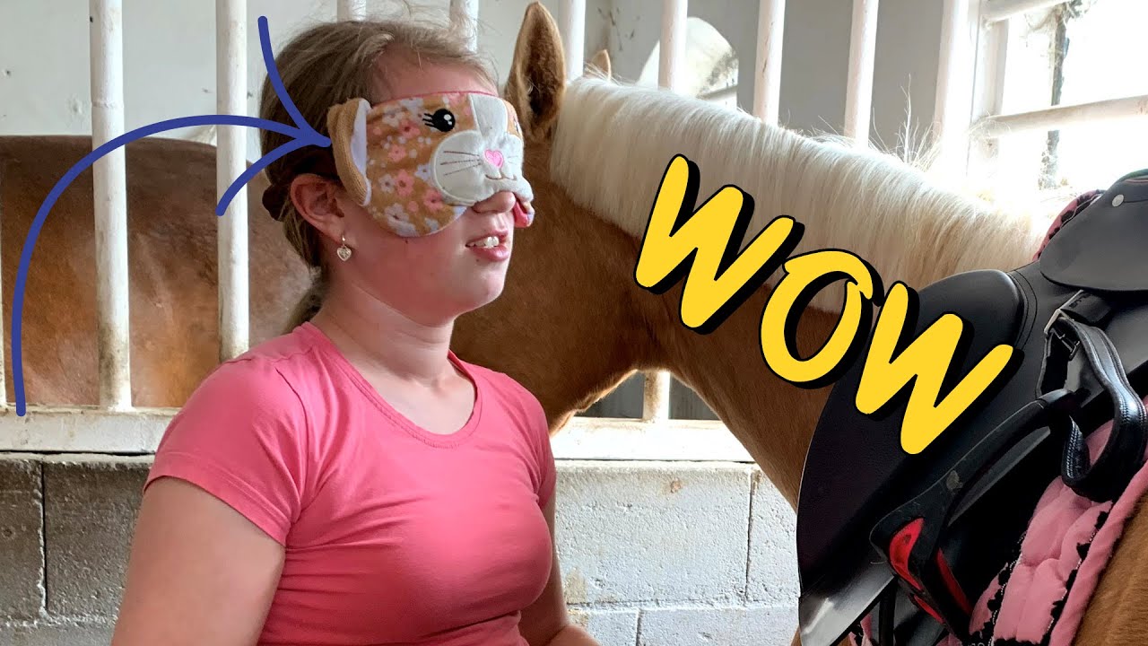 Blind opzadelen challenge * Hart voor Paarden *