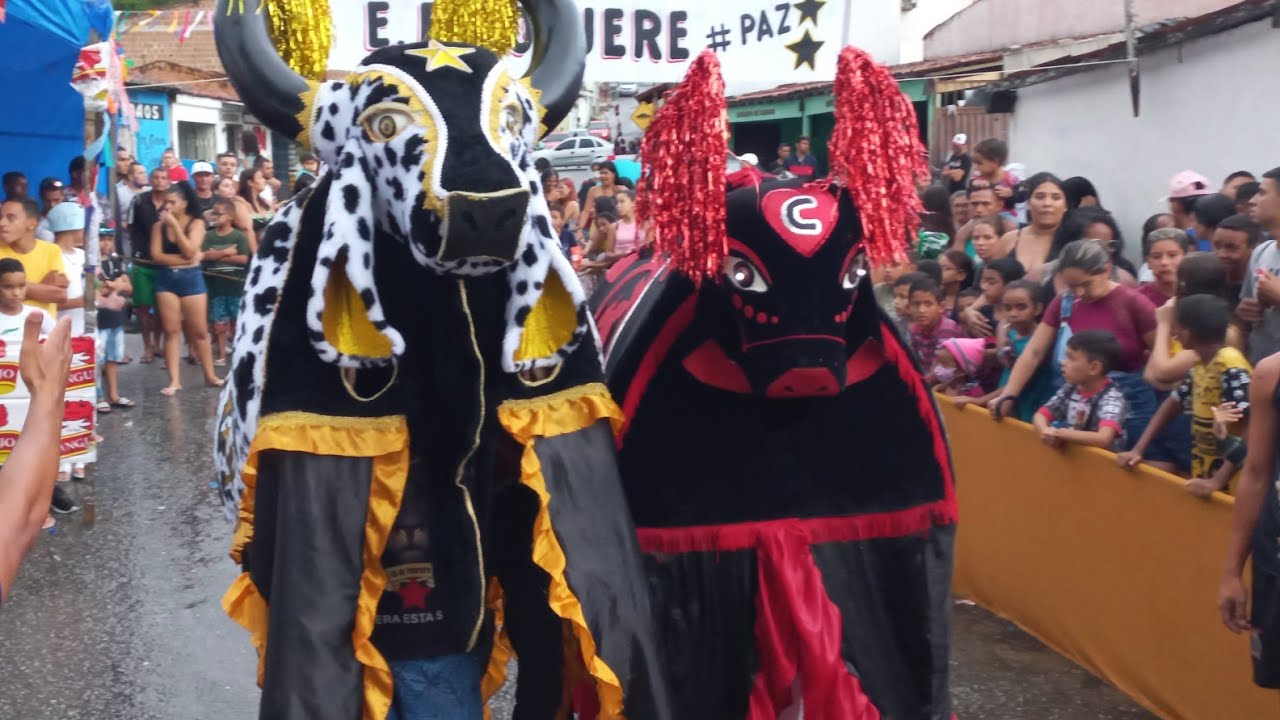 Boi Chiquitita X Boi Fera #carnaval2022