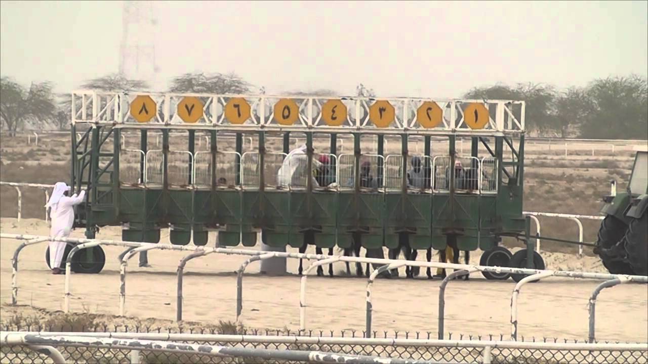 فروسية الخفجي الحفل الثامن عشر 5/3/2013 م  كاملا