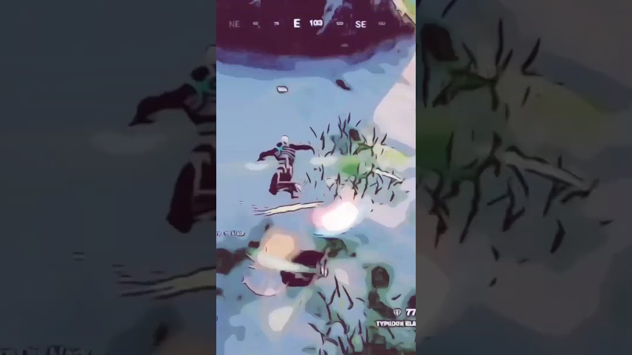 Fortnite pro 