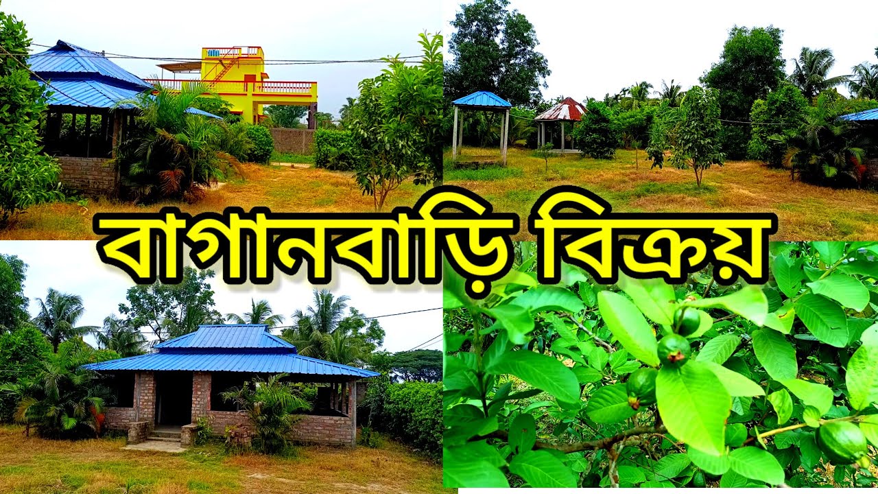 এখনি বাগান বাড়ির স্বপ্নপূরণ করুন সম্পূর্ণ বাজেটের মধ্যে রয়েছে এটি/low price/village land for sale.
