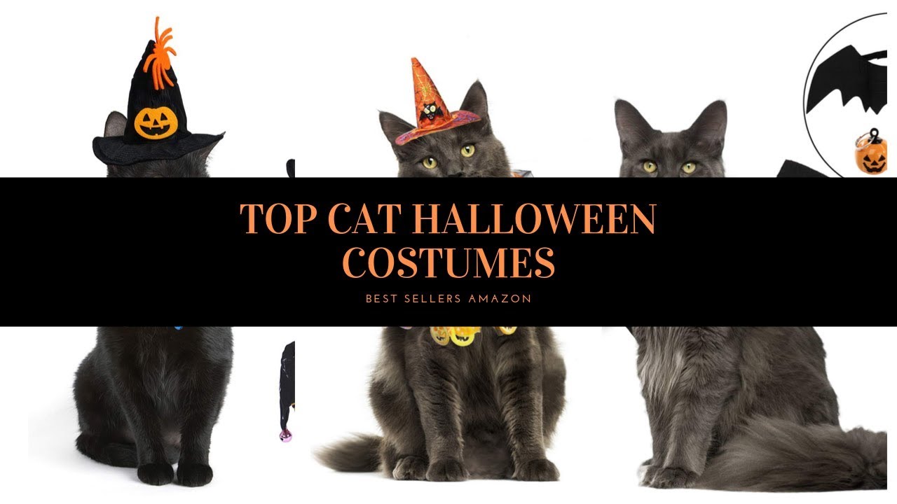 ✔️ TOP 10 BEST CAT HALLOWEEN COSTUMES 🛒 Amazon 2019