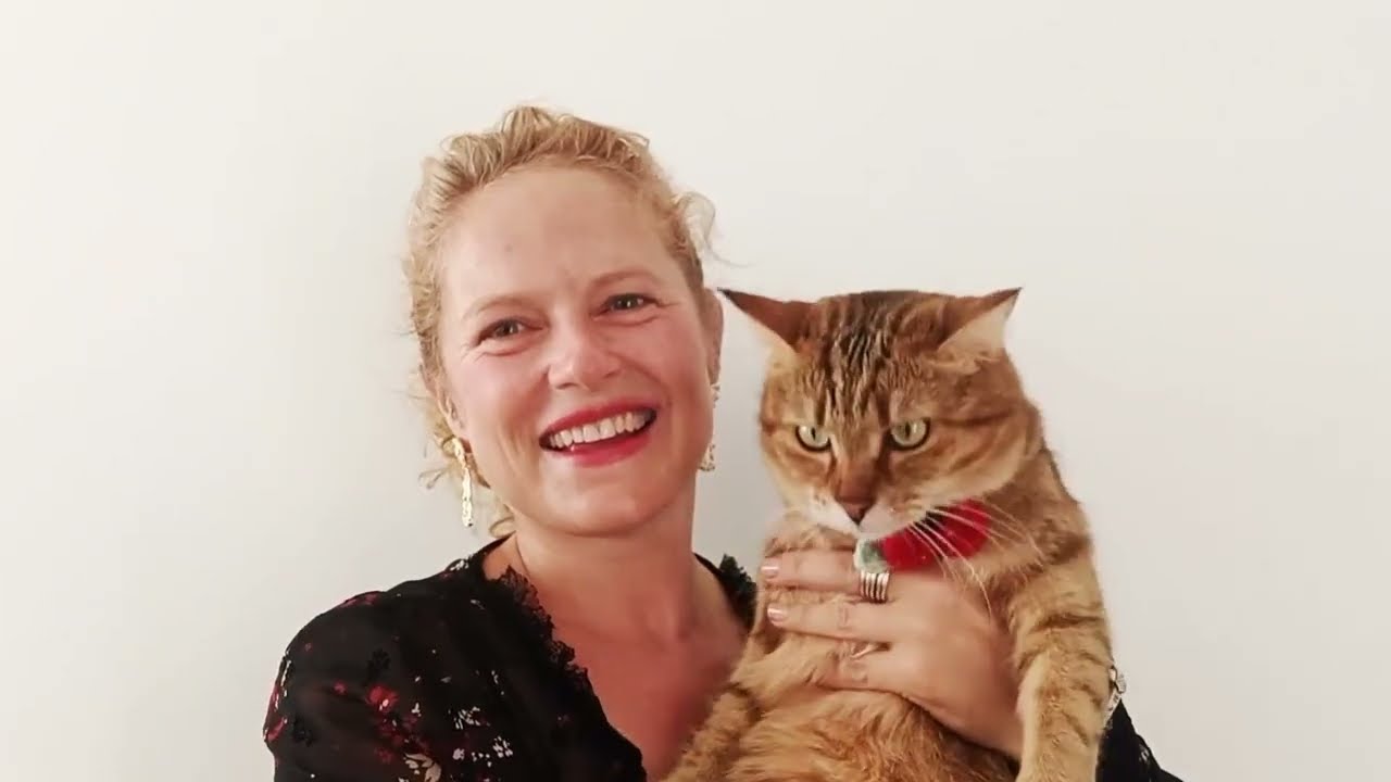 It must be poppy love - Remembering The Fallen Poppy Cat Collar