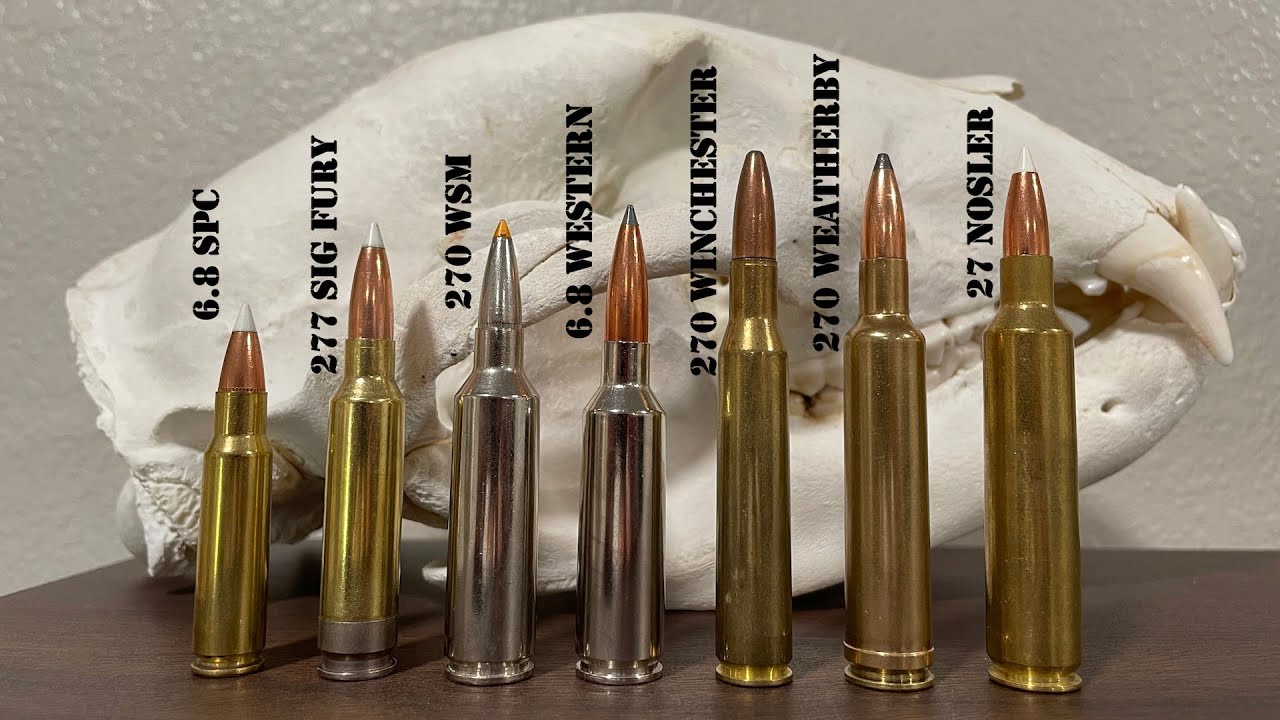 Complete guide to 270 Caliber Cartridges | 270 Win, 270 WSM, 270 Weatherby, 6.8 Western & More!