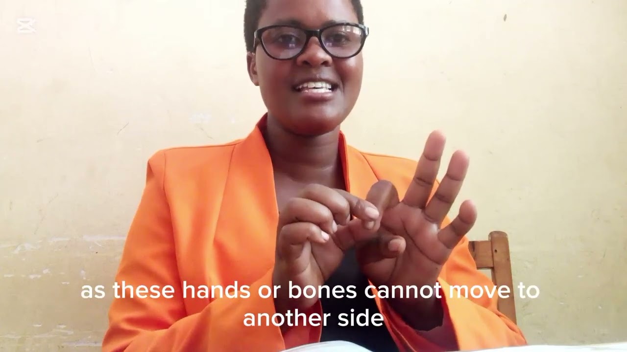 Joints in the Human Body – Types, Functions and Examples | Biology Form Three
