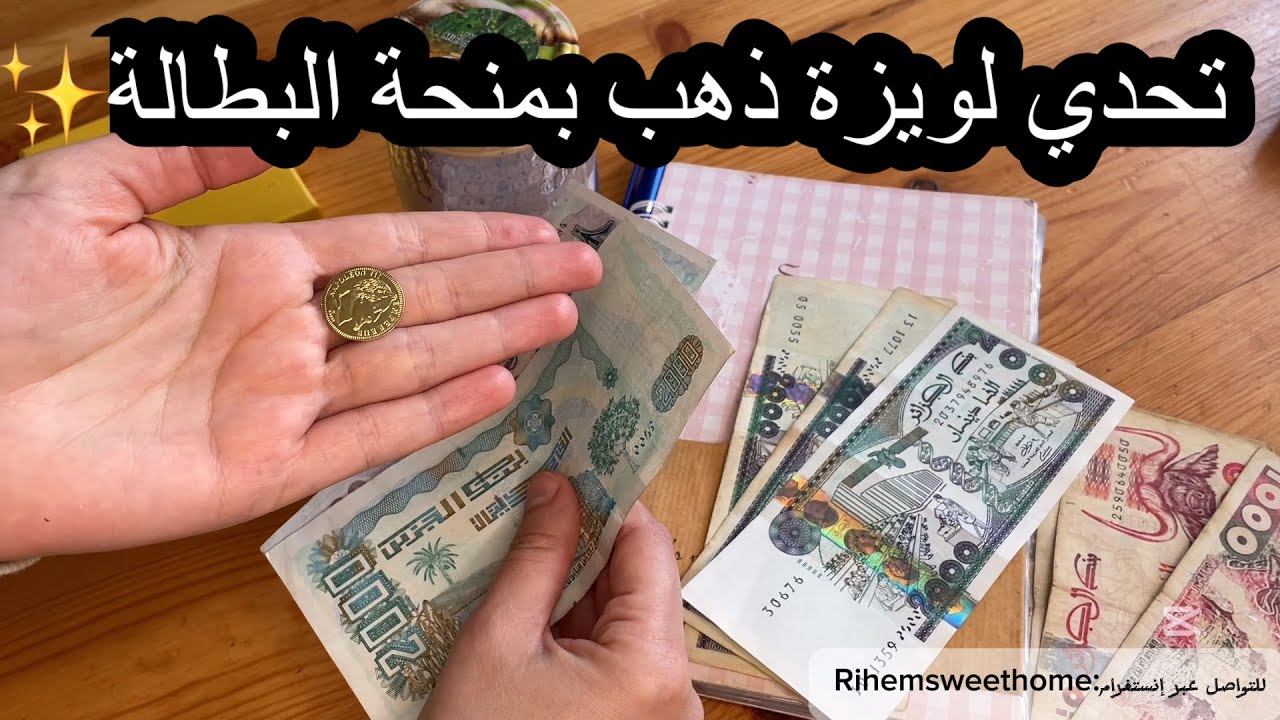 تقسيم منحةً البطالة👍🏻💸تحدي الذهب بمنحة البطالة للعزباء والمتزوجة💍✨