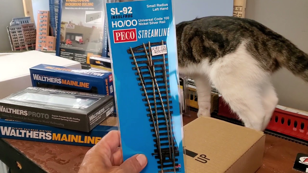 Hobby Shop Haul/Новый локомотив, управляемый